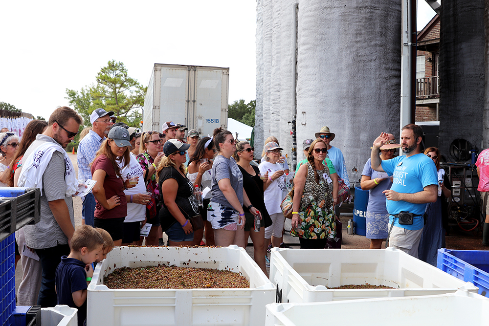 The 2020 Messina Hof Winery harvest activities will look quite different from that of 2019 when social distancing and face masks were unimaginable. (Messina Hof Winery photo)