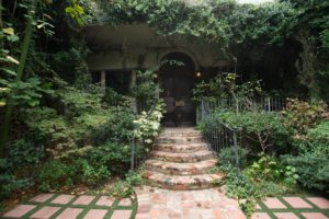 Magical courtyard of East & Orient, with fig ivy, roses, and orange trees.
