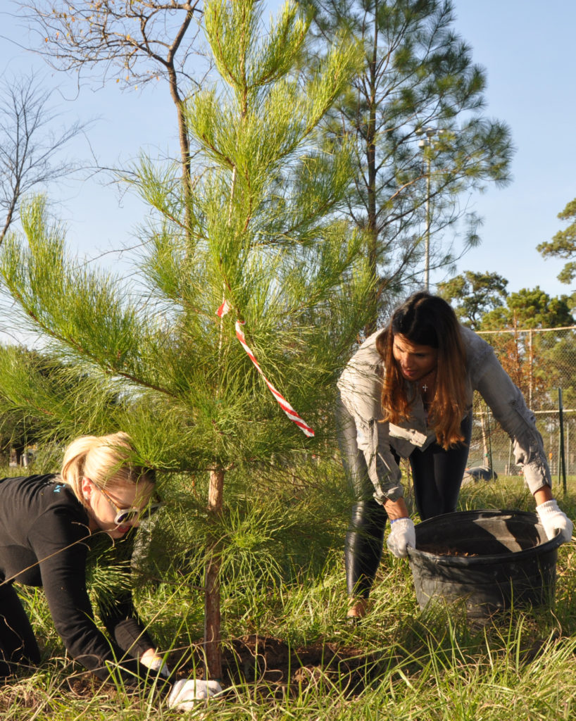 Trees For Houston volunteers helping keep Houston green. (Trees For Houston photo)