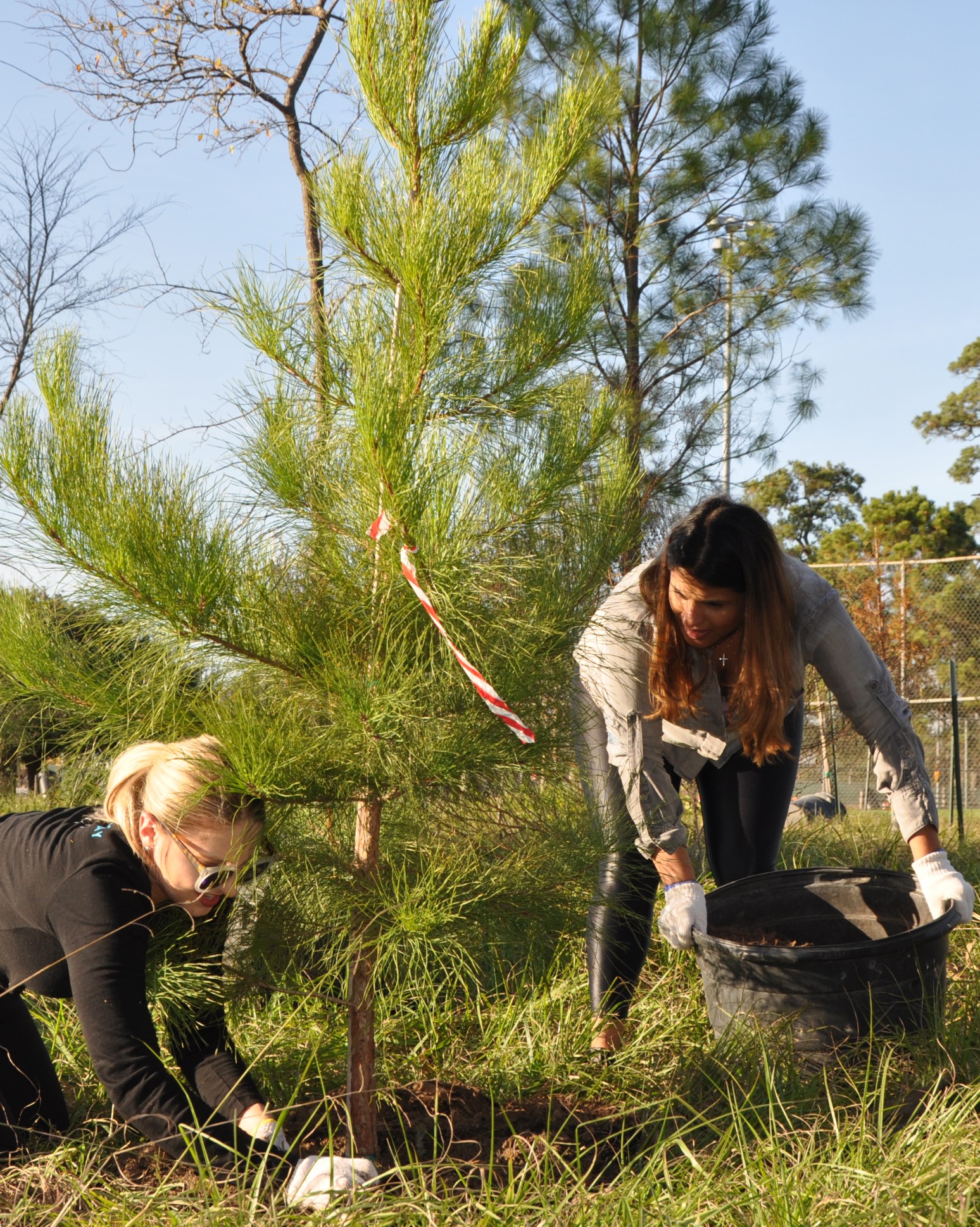 Engagement Rings and Planting Trees Wed Together for Ingenious Houston