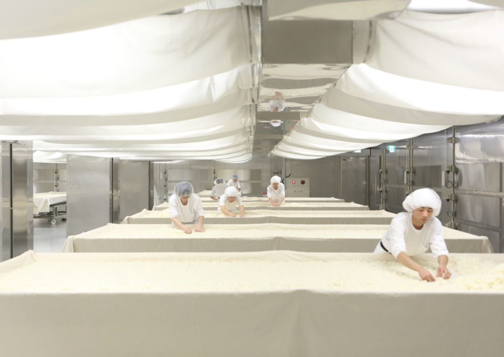 Inside the Dassai koji room (Photo courtesy of Dassai)