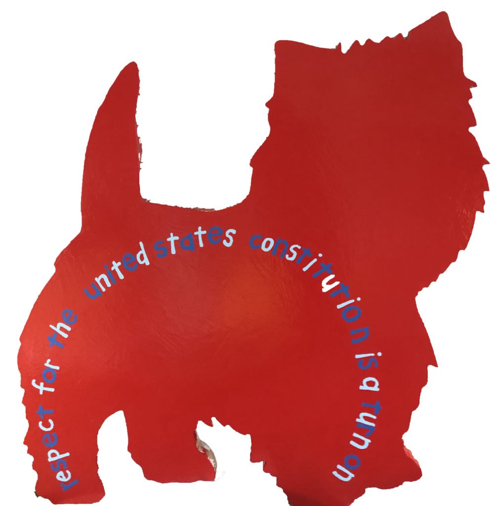 Cary Leibowitz's "Respect for the United States Constitution is a Turn On," 2020, at 12.26