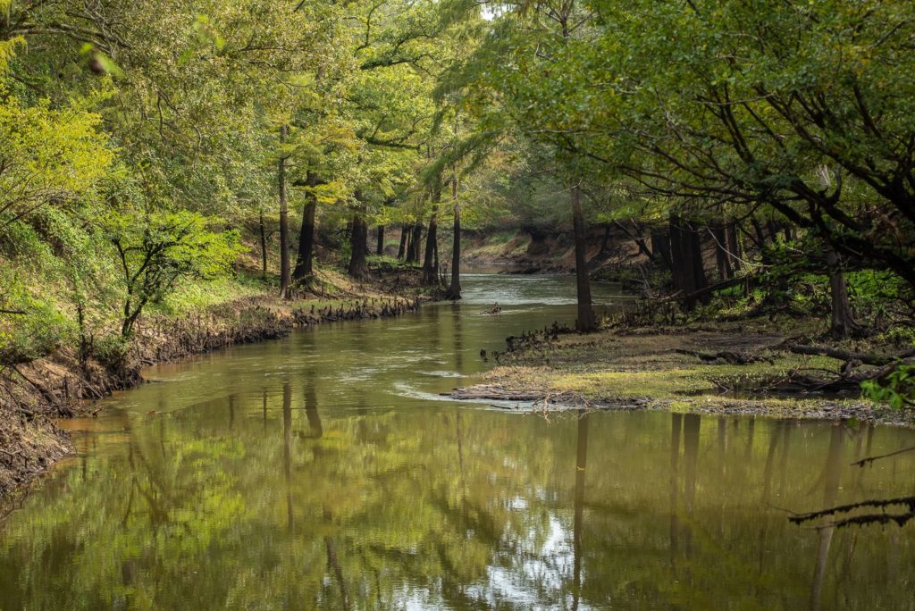 Big Cypress Bayou River Ranch1