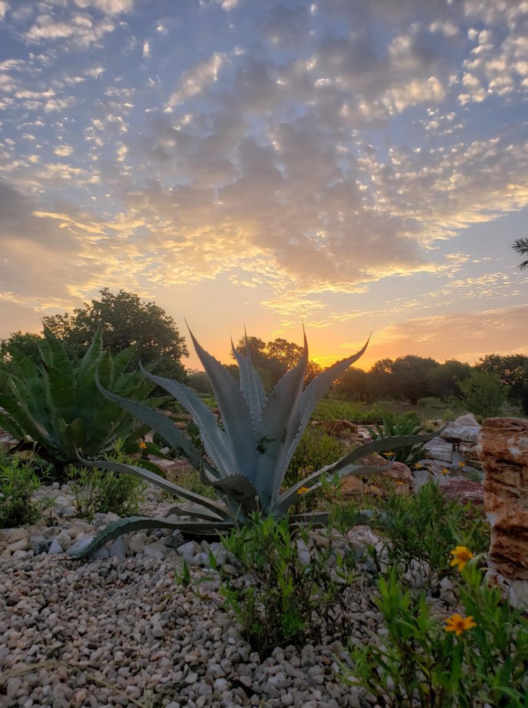 The Houston Botanic Garden will reopen by celebrating Latin America this weekend.