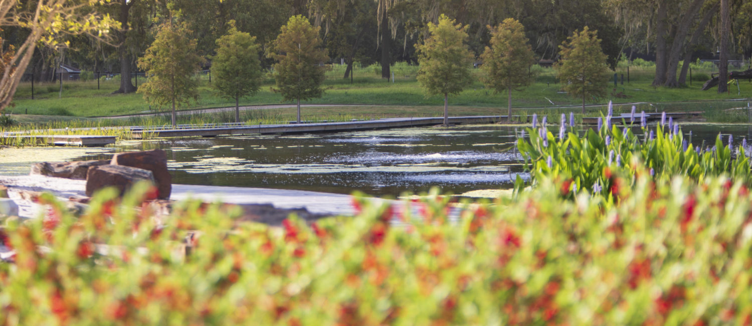 Houston Botanic Garden_Lagoon with Cypress-lined Boardwalk Maze in Susan Garver Family Discovery Garden