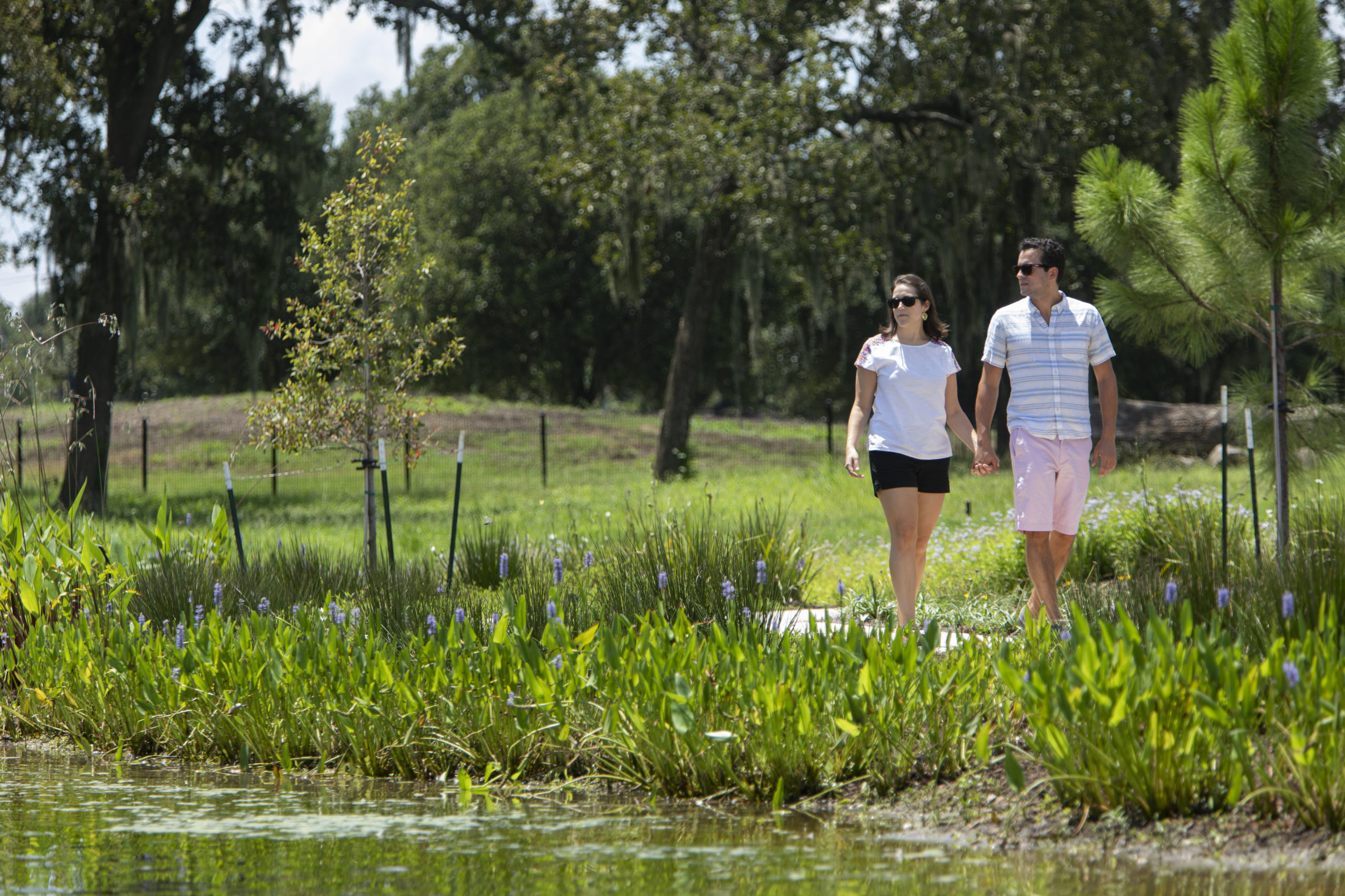 Houston Botanic Garden_Wetlands Plants along Littoral Shelf of the Lagoon in Susan Garver Family Discovery Garden