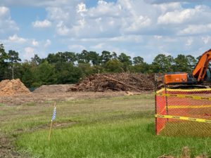 Trees formerly lined the ball field drive, both making way for the Memorial Park Land Bridge Project. (Photo by Shelby Hodge)