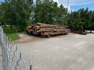 Trunks of trees down on the south side of Memorial Drive as Memorial Park makes way for land bridges and an environmentally friendly coastal prairie.