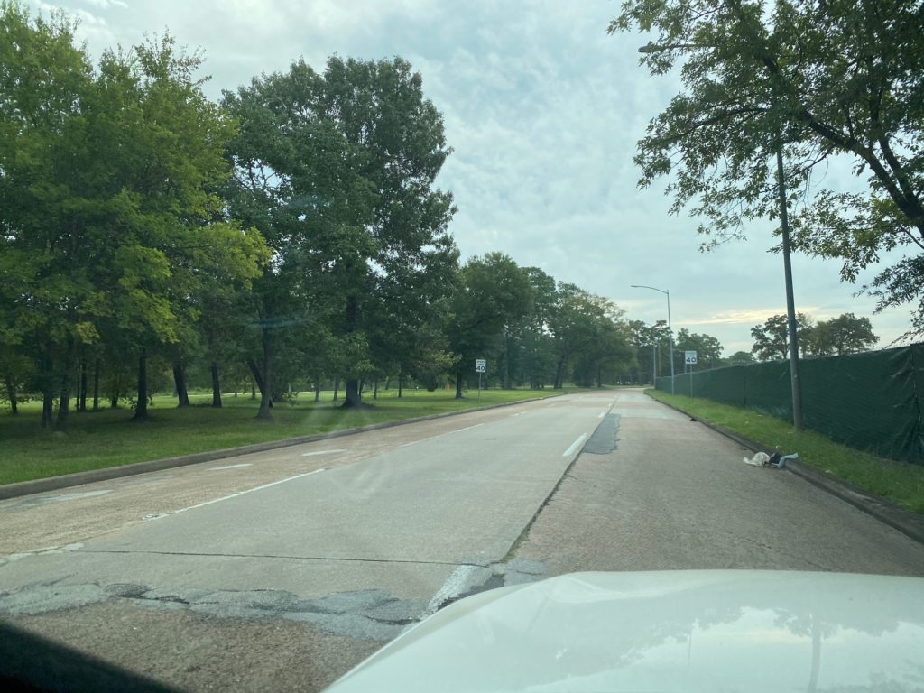 The streetscape along Memorial Drive through Memorial Park was an eye-pleasing verdant scene until last week when the center trees were demolished. (Photo by Shelby Hodge)
