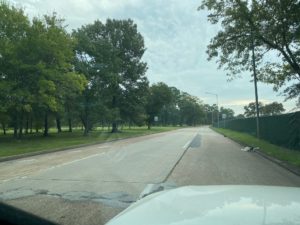 The drive along Memorial Drive through Memorial Park was an eye-pleasing verdant scene until last week when the center trees were demolished.