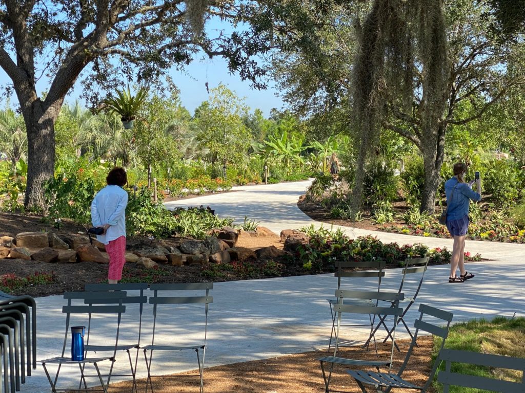 The Pine Grove leads visitors to the Global Collection Garden. (Photo by Shelby Hodge)