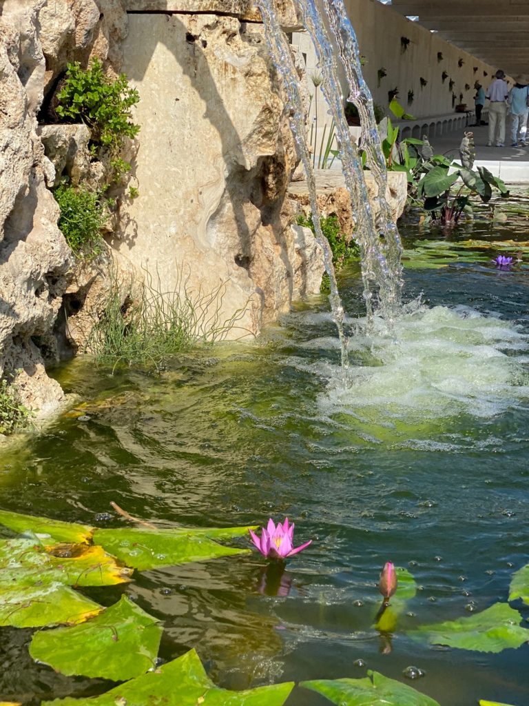 A splashing fountain welcomes visitors just inside the gate the Houston Botanic Garden. (Photo by Shelby Hodge)