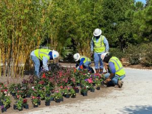 Houston Botanic Garden