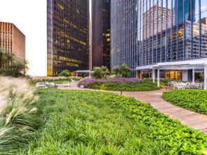 257 CA-TOW-07-GeoffLyon-LRG