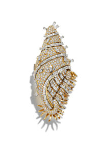 68132649_SchlumClient_v1_TM_091619.jpg CAITLIN