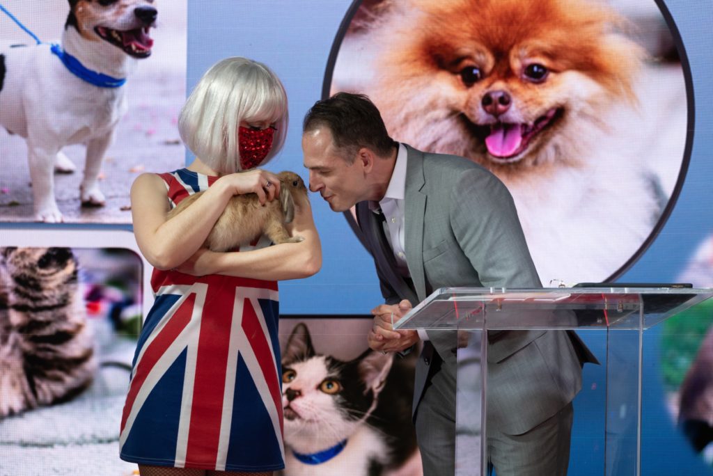 Emcee Johnny "Bravo" Holloway meets Floppy the rabbit, a CAP rescue animal,  on the live virtual fundraiser. (Photo by Daniel Ortiz)