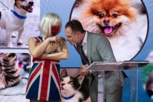 Floppy the rabbitt from CAP (Photo by Daniel Ortiz)