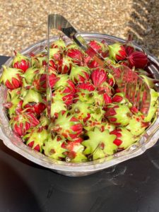 A tasty treat at Hope Farm’s Fashion in the Fields outing benefiting Recipe for Success. (Photo by Shelby Hodge)