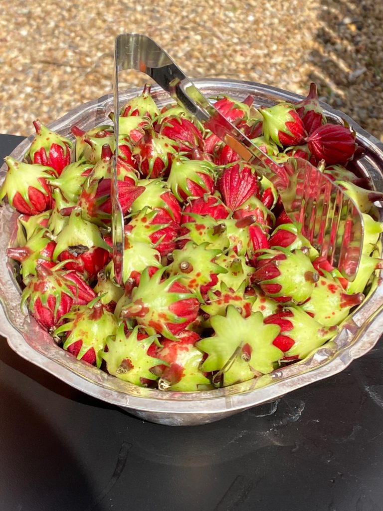 A tasty treat at Hope Farm's Fashion in the Fields outing benefiting Recipe for Success.  (Photo by Shelby Hodge)
