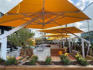 The Sporting Club is focusing on filling its vast patio for Funday Sundays and Saturdays with brunch offering rosé and champagne at half price.