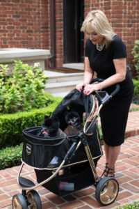 Pooches Lola and Lila with Julie Brookshire participating in the CAP gala. (Photo by Daniel Ortiz)