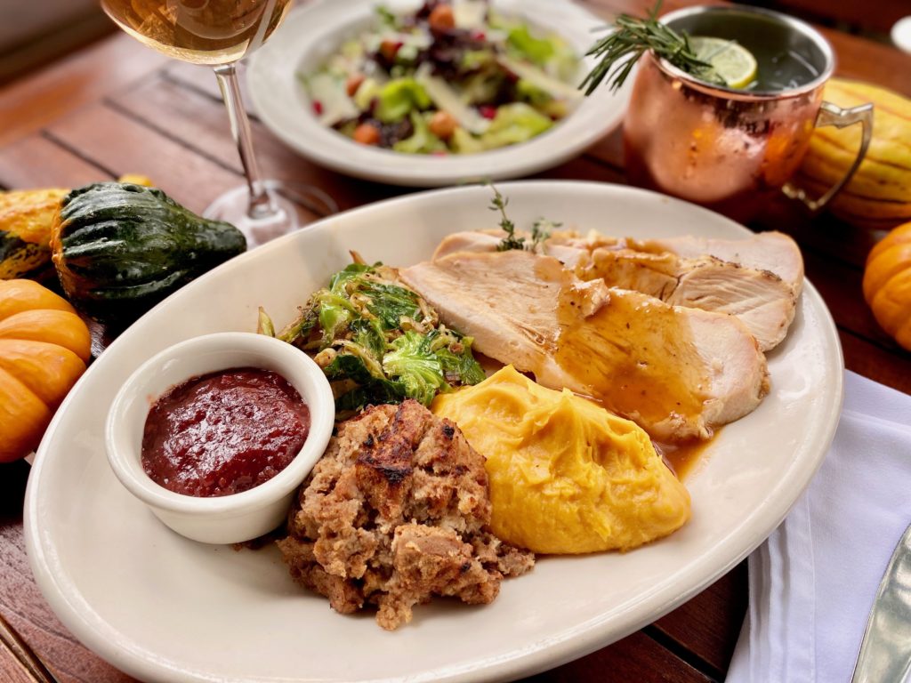 Meddlesome Moth Thanksgiving 2020