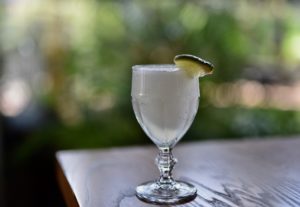Margarita by Kimberly Park (3)