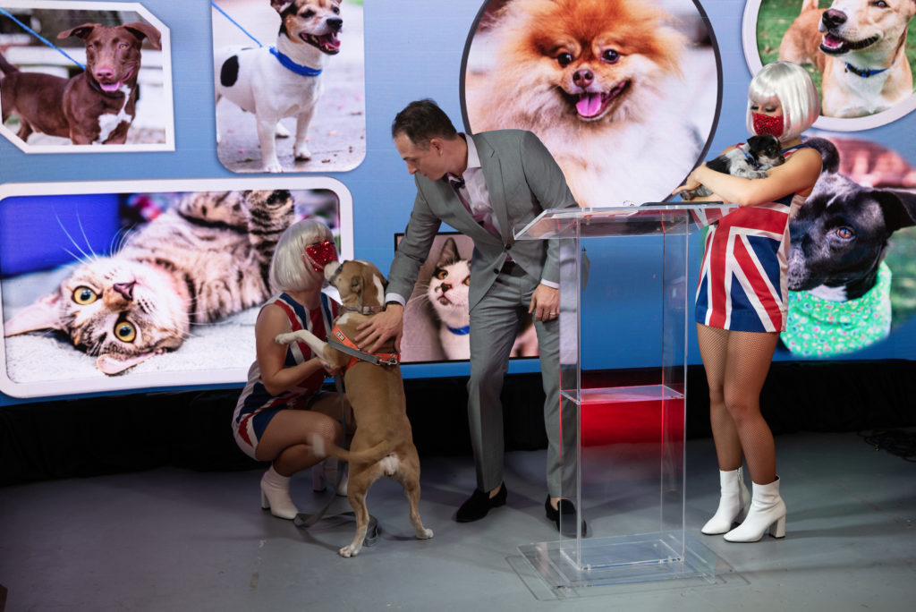 Live fun with CAP rescue dogs on stage during the virtual gala. (Photo by Daniel Ortiz)