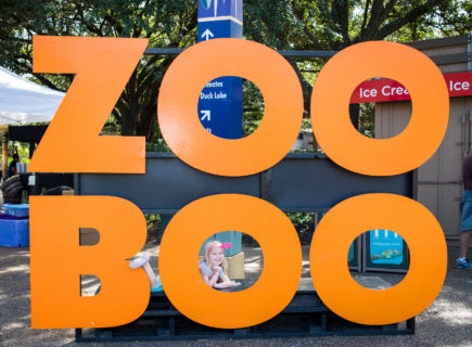 Make your way to the Houston Zoo for the final days of Zoo Boo, which ends this Sunday, November 2.