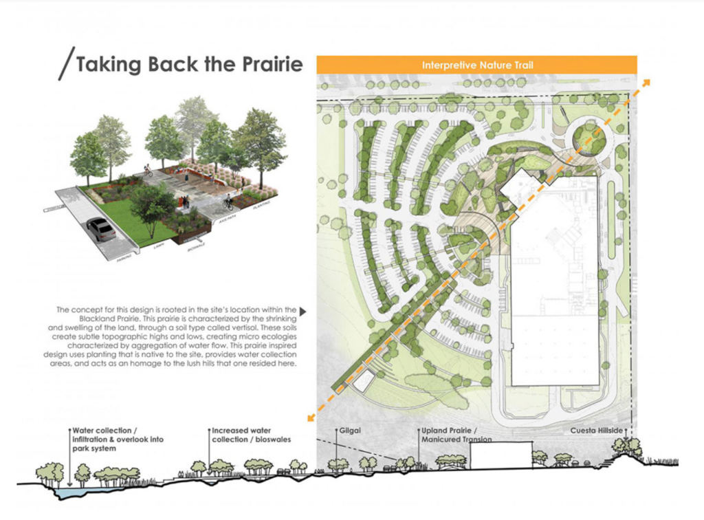 Studio Outside has created landscaping with plants original to the Blackland Prairie.
