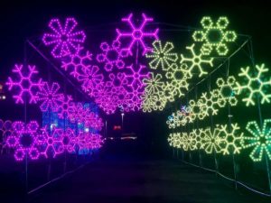 The Light Park (courtesy of The Light Park)