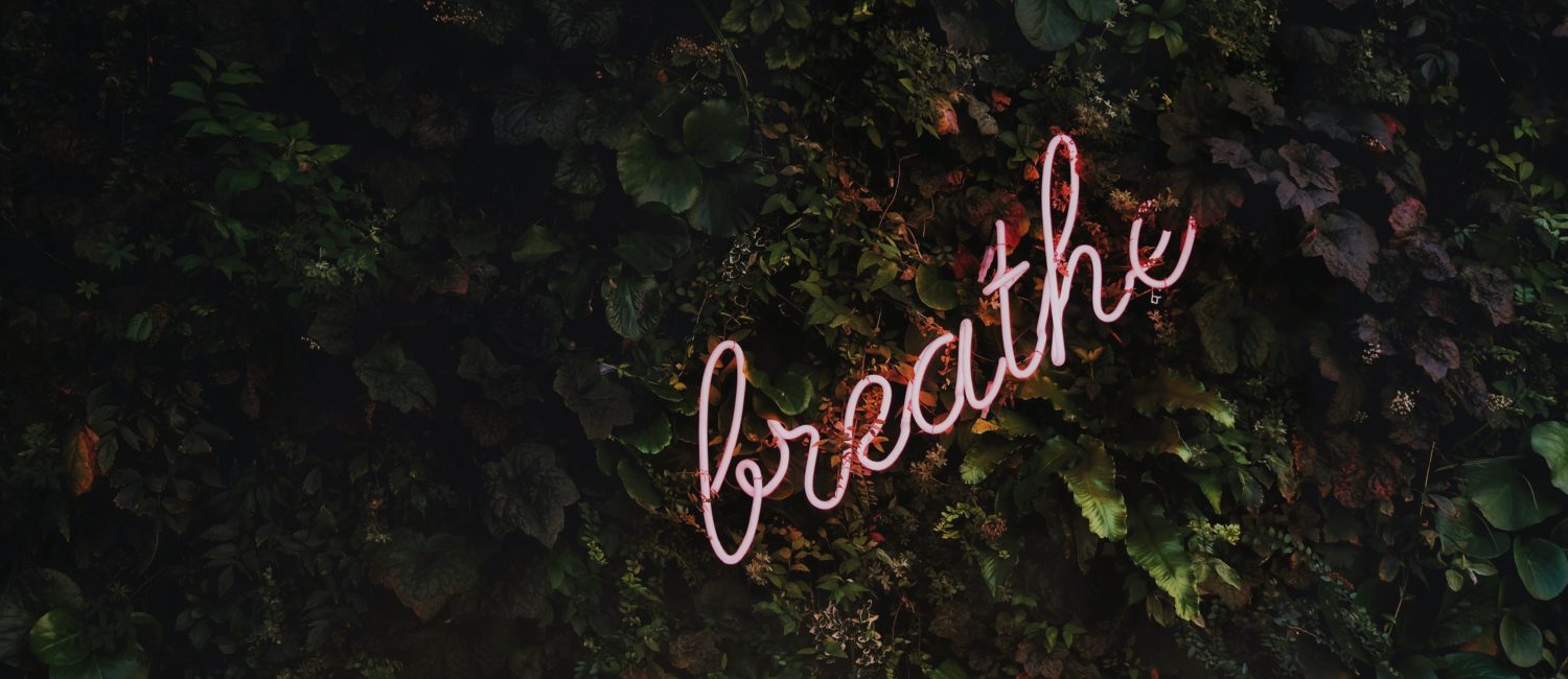 dallas meditation tim-goedhart-vnpTRdmtQ30-unsplash