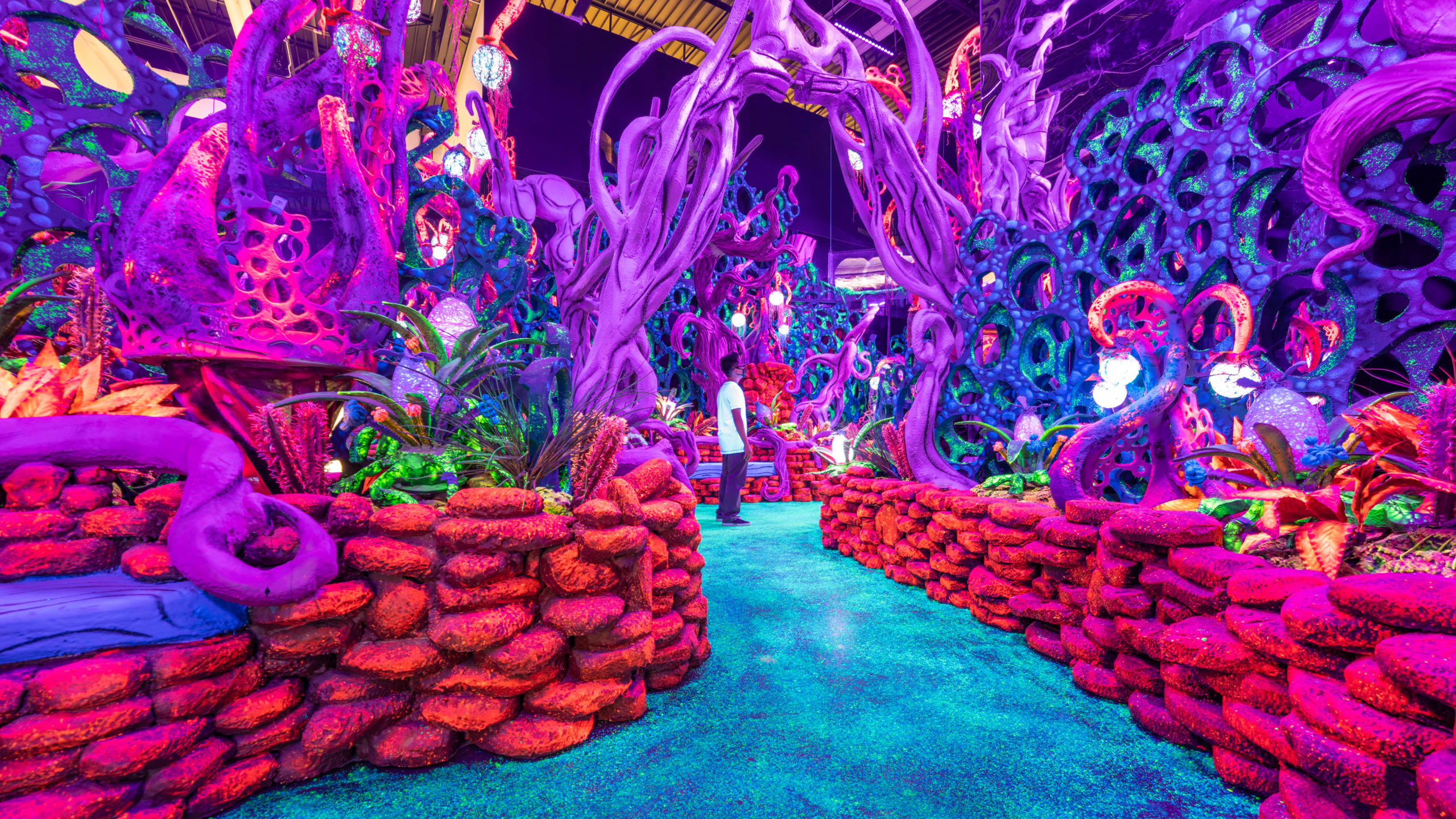 Seismique Opens to the Public - PaperCity Magazine