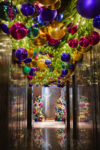 Catbird_hallway_34937 (Photo by Gustav Schmiege)