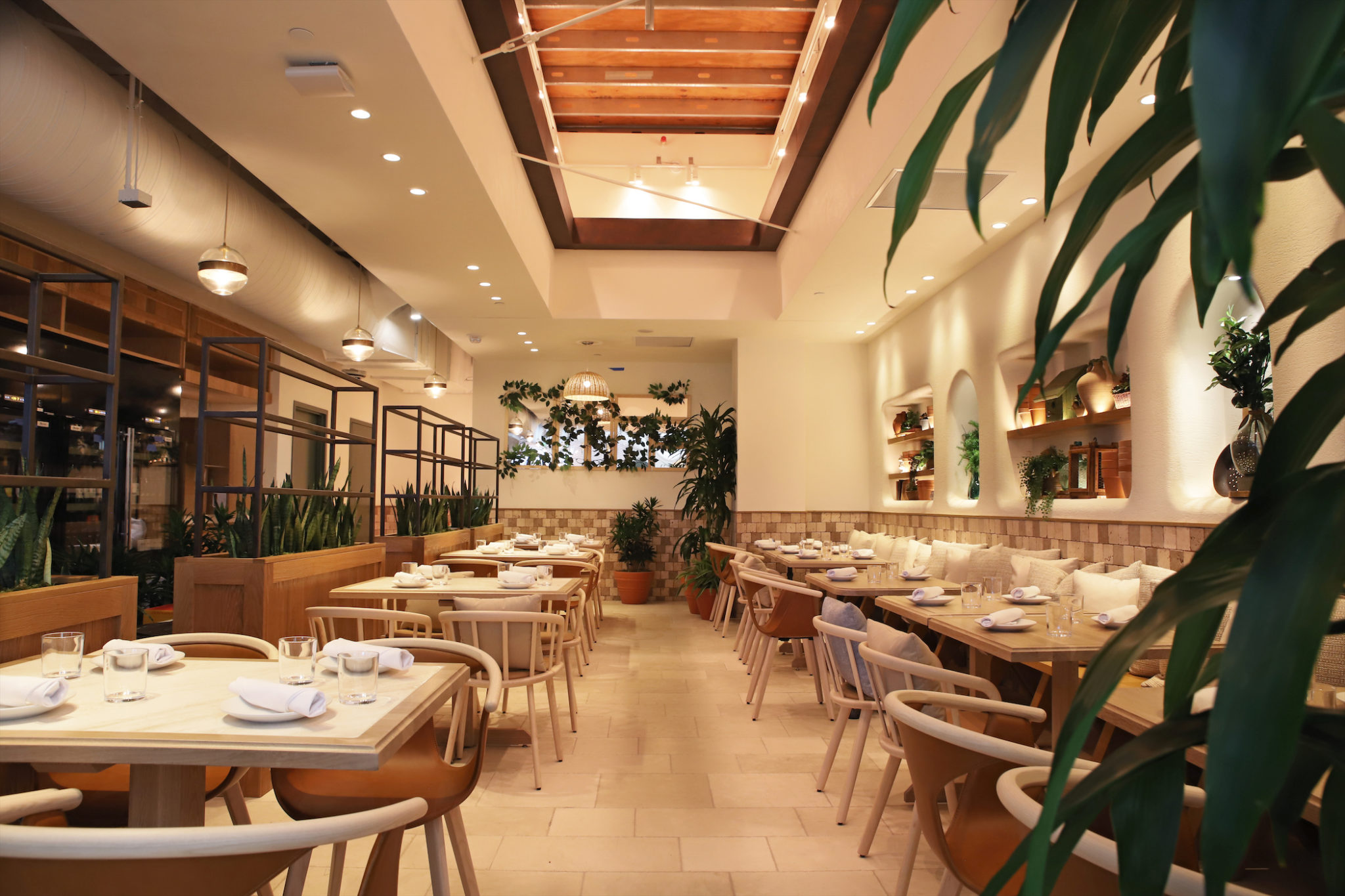 A First Taste of Terra — Eataly's WoodFired Rooftop Terrace Restaurant