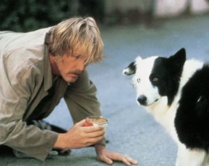 2020 had us looking like Nick Nolte in Down and Out in Beverly Hills in no time.