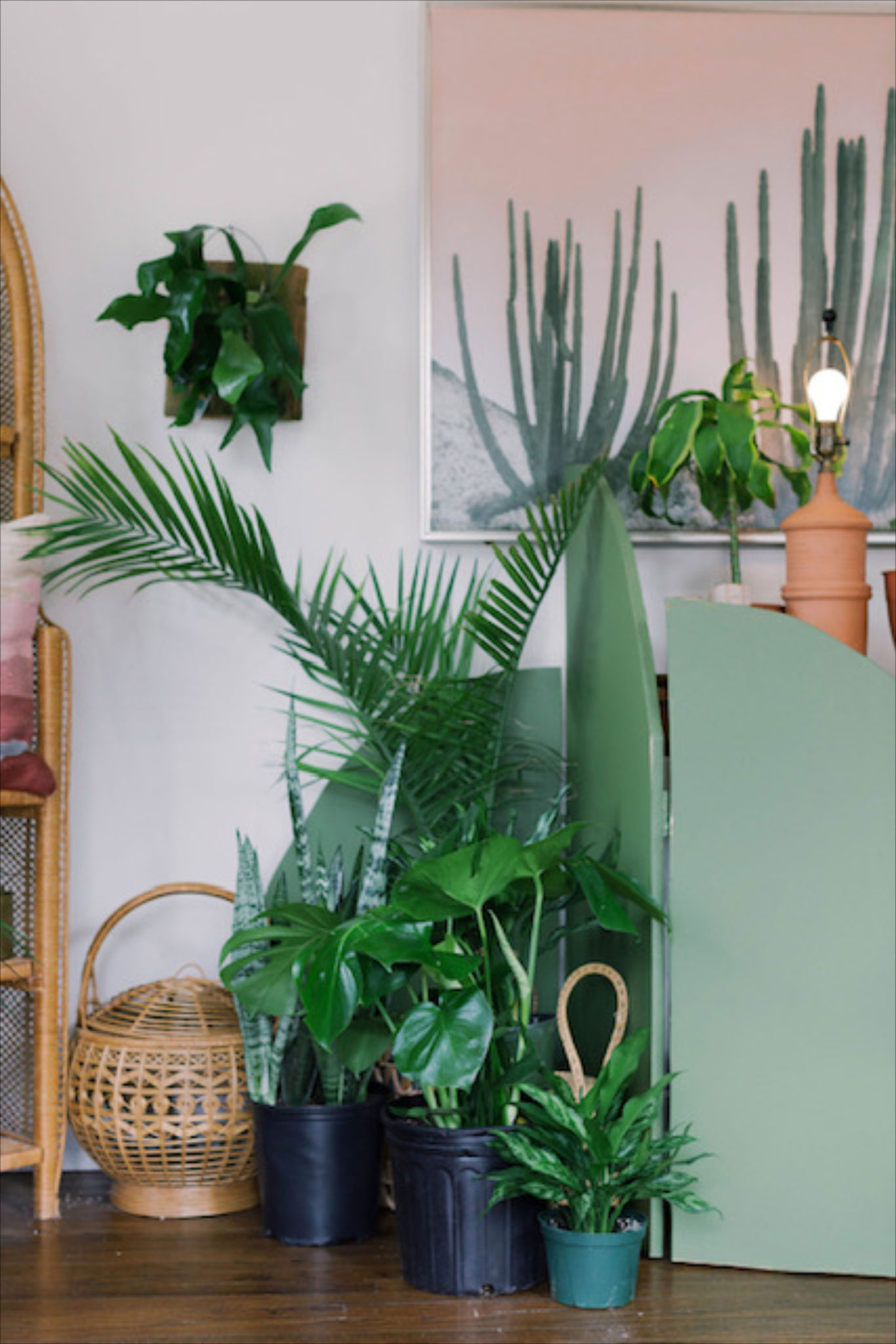 Plant Therapy and Rich History on Uptown Dallas' Routh Street