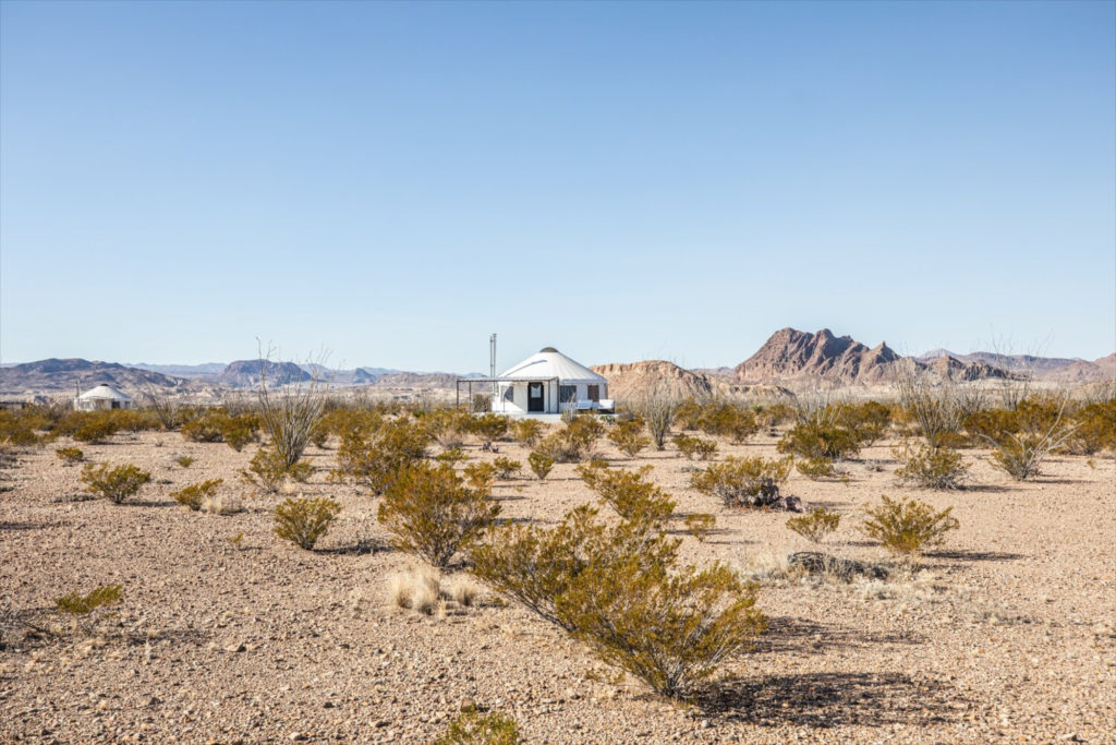 (courtesy of The Local Chapter)