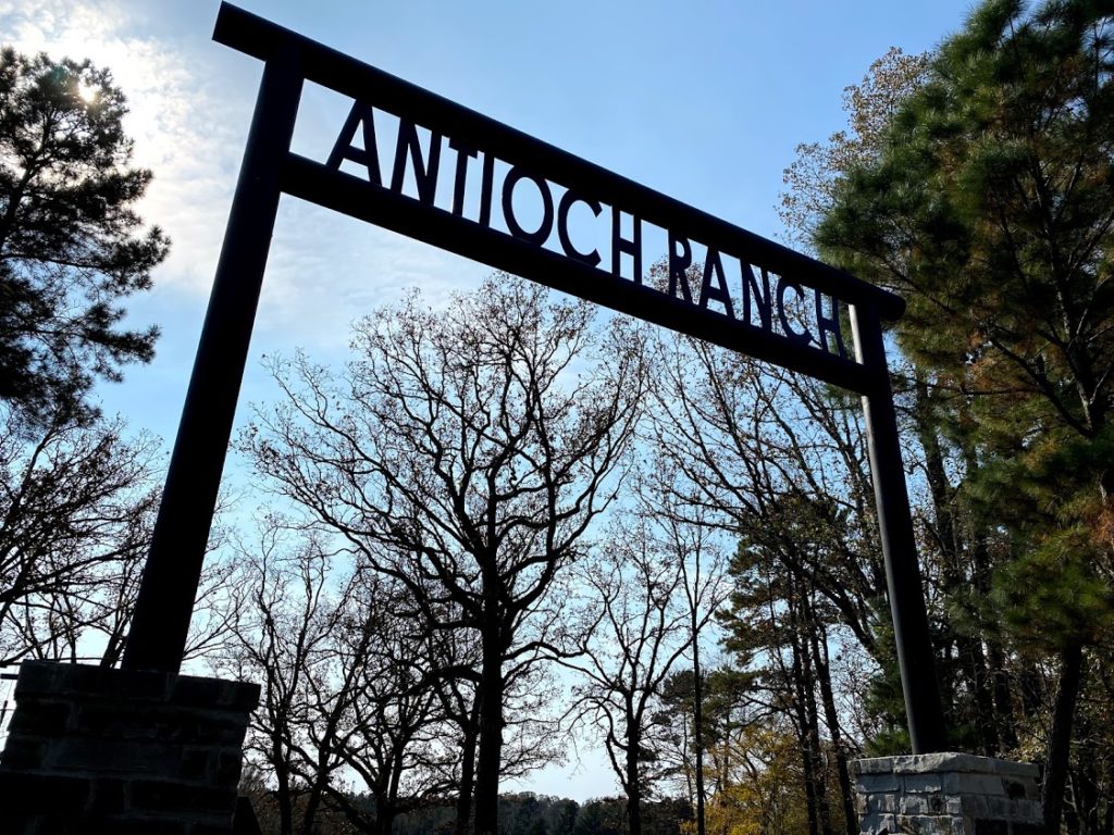 Trial lawyer Tony Buzbee's East Texas ranch is becoming a haven for rescued animals of every stripe. (Photo courtesy of Frances Moody)