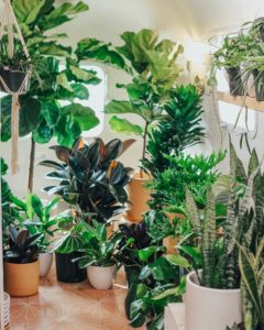 Grow – The Airstream filled to the gills with greenery.