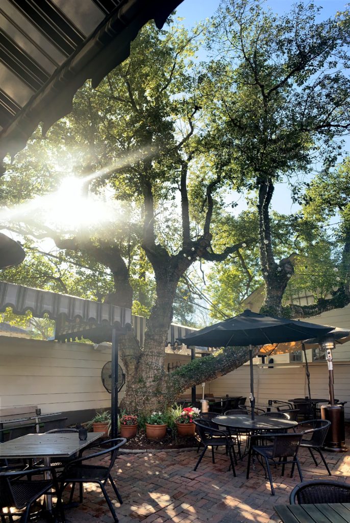 The camphor on Backstreet Cafe's patio is estimated at being as much as 86 years old. (Photo by Paula Murphy)