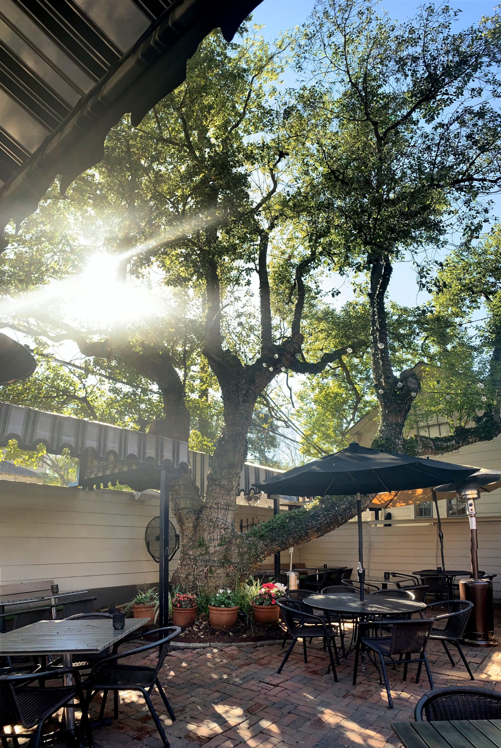 Mountain Oaks Cafe - i7gslri