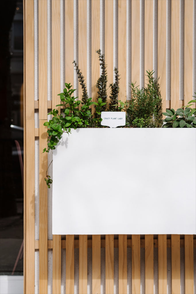 Tea is served in environmentally-friendly cups and straws at Teasom. 