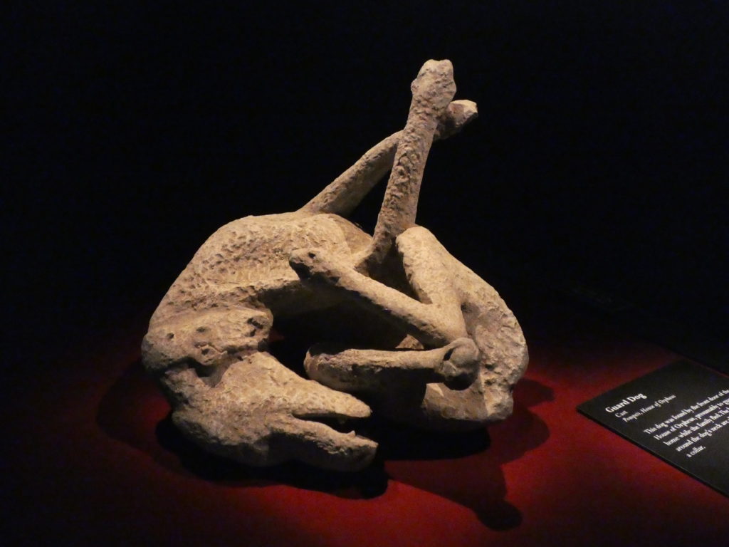 Cast of a guard dog. (Photo by Tarra Gaines)