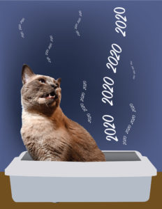 Stuart_Larson_2020 Stinks – StuArt Larson