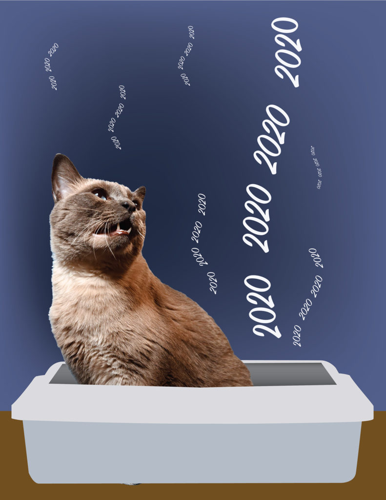 Even Larson's cat is disgusted at 2020: Stuart Larson's "2020 Stinks," 2020.