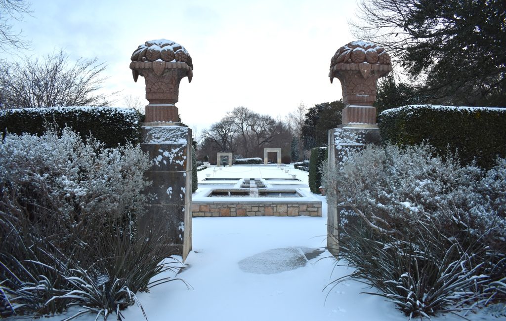 dallas snow storm arboretum dallas