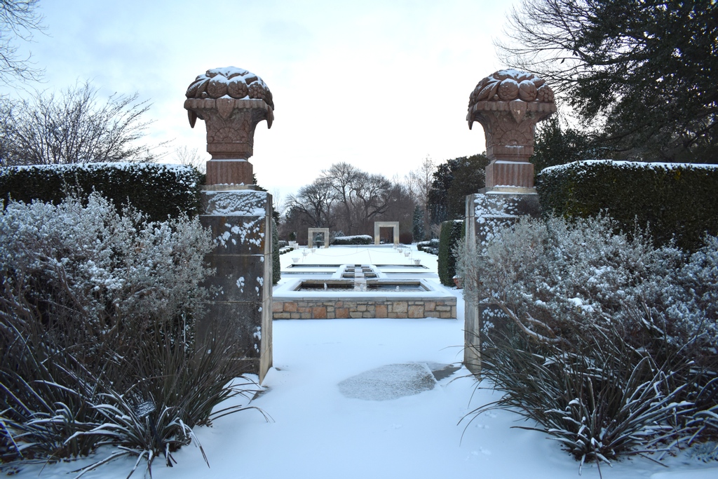 dallas snow storm arboretum dallas