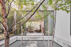 015 LavendaleRes_2390 (Photo by Stephen Karlisch )