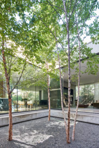 051 smitharc_LavendaleRes_2412 (Photo by Stephen Karlisch )